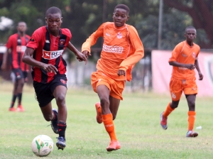 Juvenis  e Juniores vitoriosos nos " Provinciais " de futebol